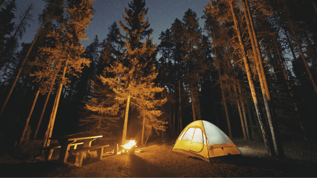 Camping in winter